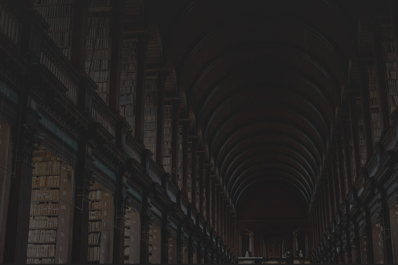 banner 1